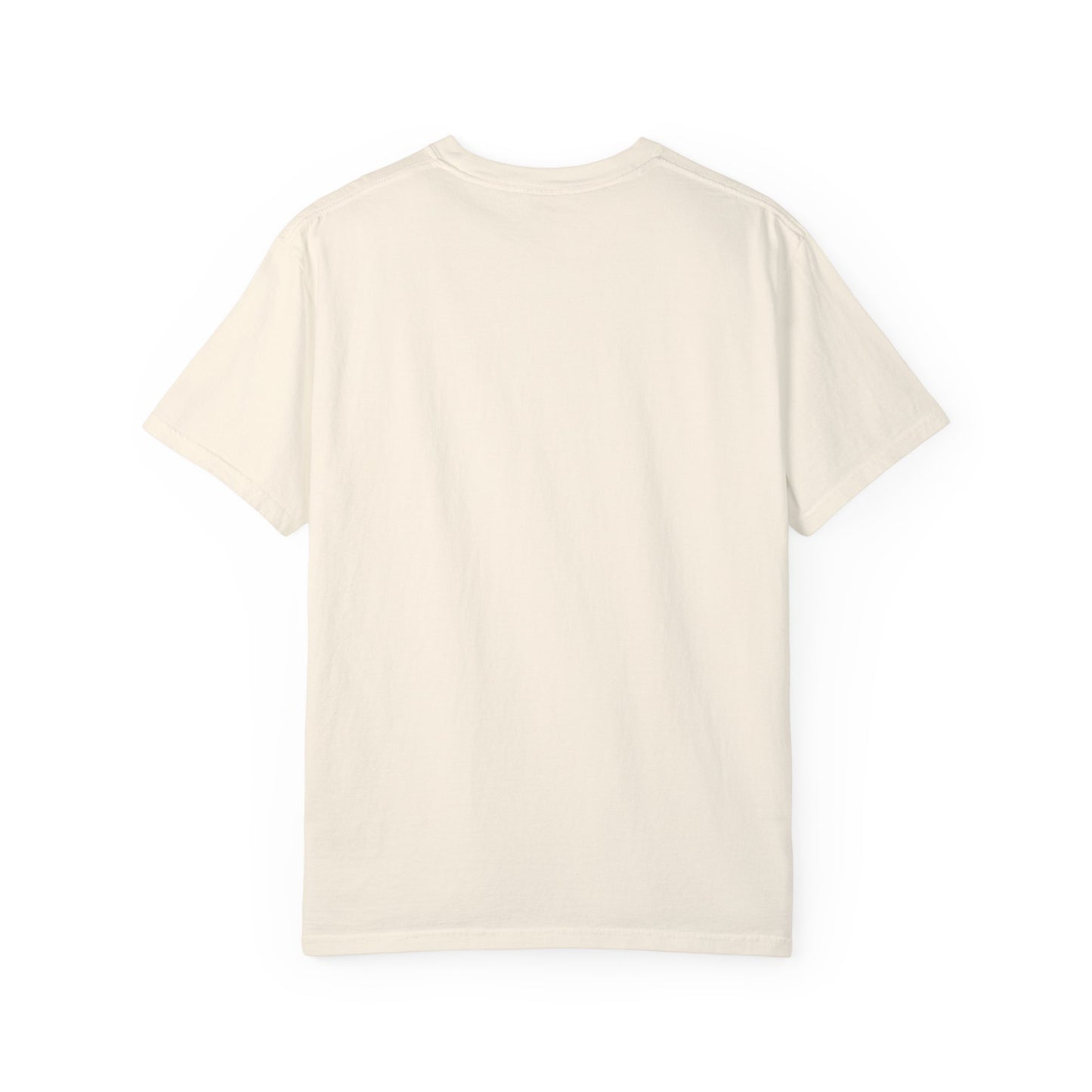 Atlanta Falcons Premium T-shirt