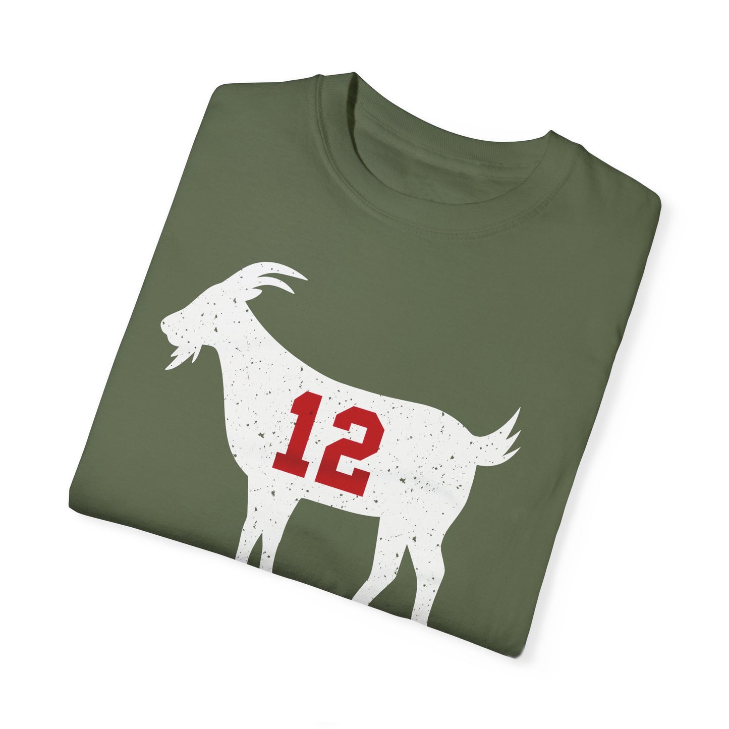 Tom Brady GOAT Premium T-shirt